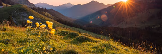 AdobeStock_749862213_komprimiert